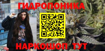 ешки Будённовск