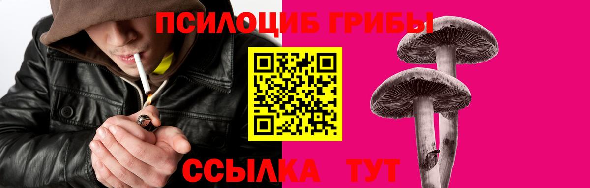 Галлюциногенные грибы Psilocybe  сколько стоит  Петропавловск-Камчатский  Вход с VPN 