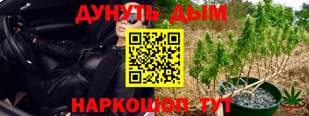 Петропавловск-Камчатский  Конопля Bruce Banner  МАРИХУАНА Bruce Banner  Вход с VPN 